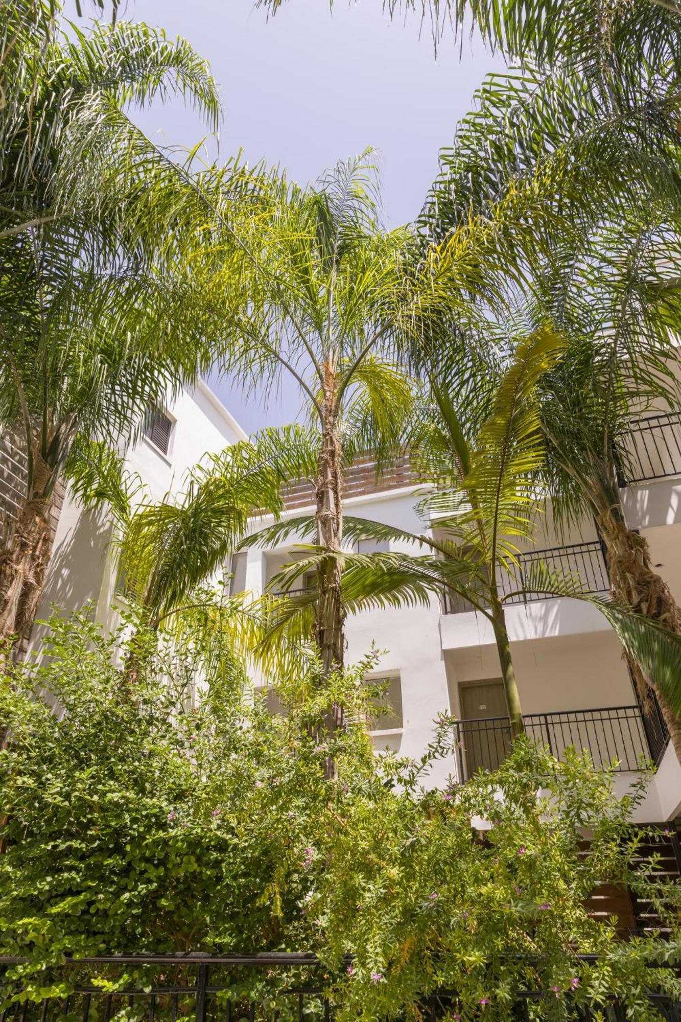 Alecos Hotel Apartments Paphos Extérieur photo