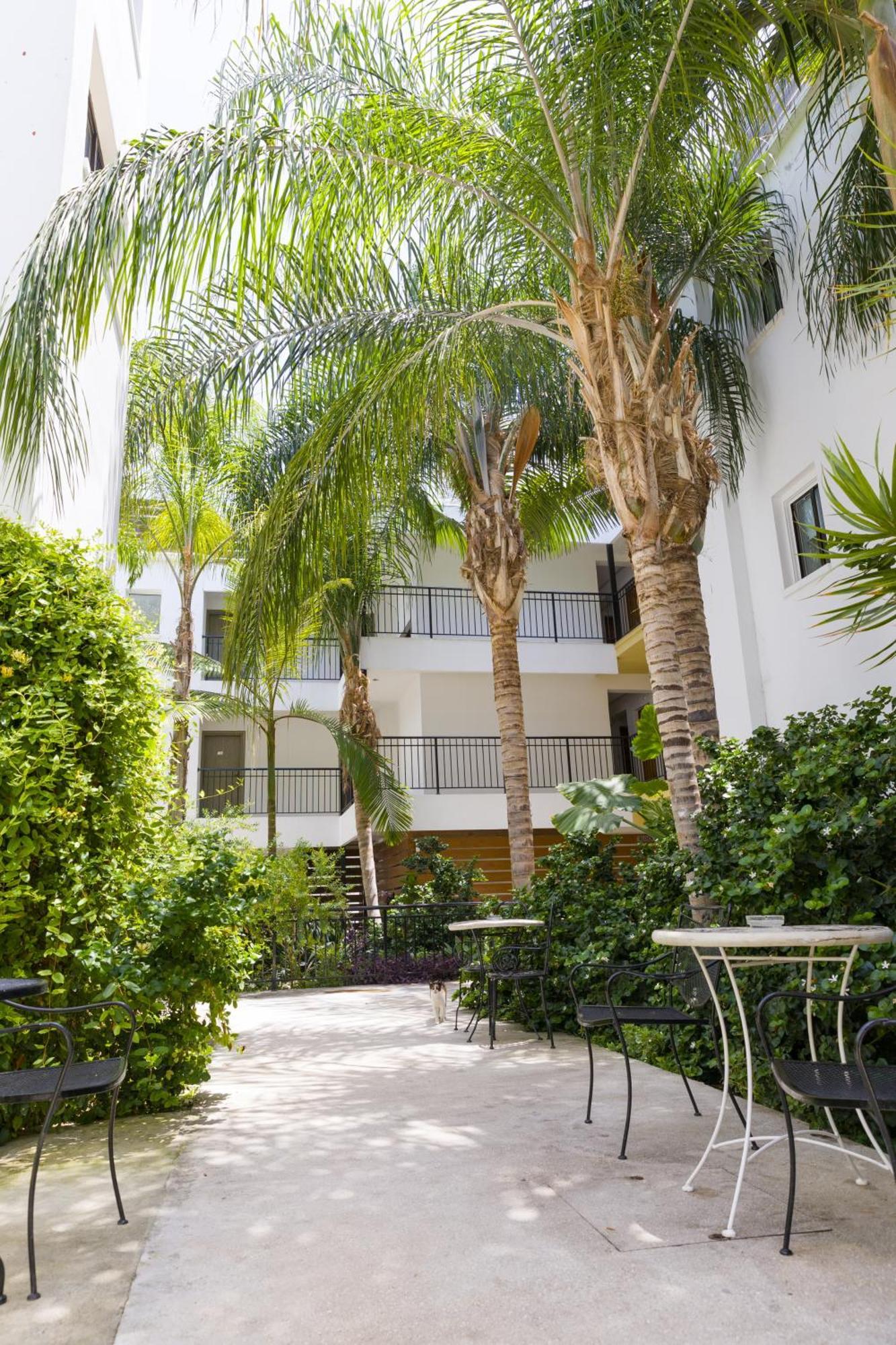 Alecos Hotel Apartments Paphos Extérieur photo