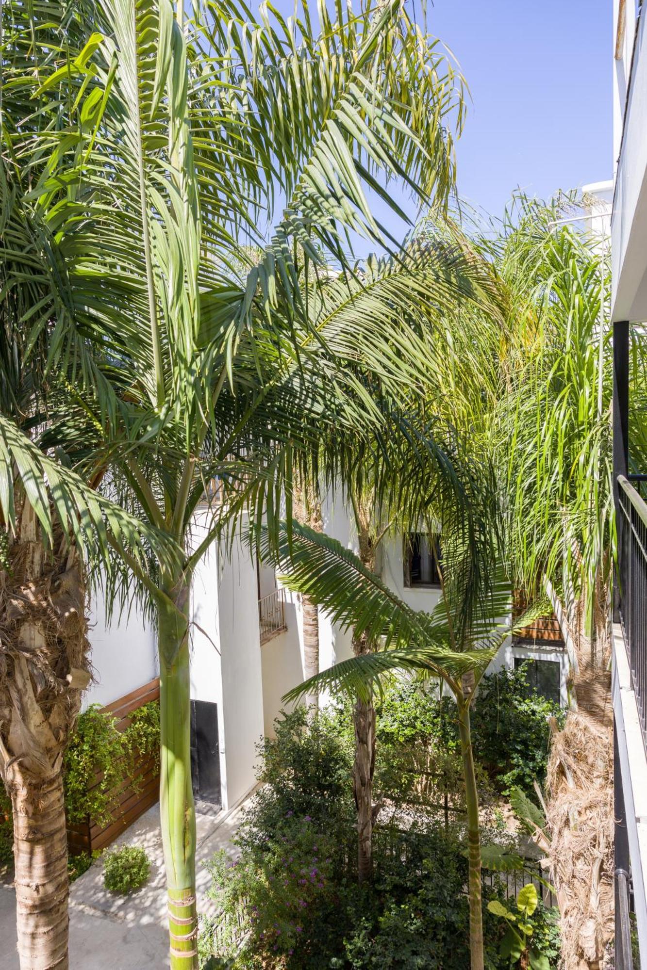 Alecos Hotel Apartments Paphos Extérieur photo